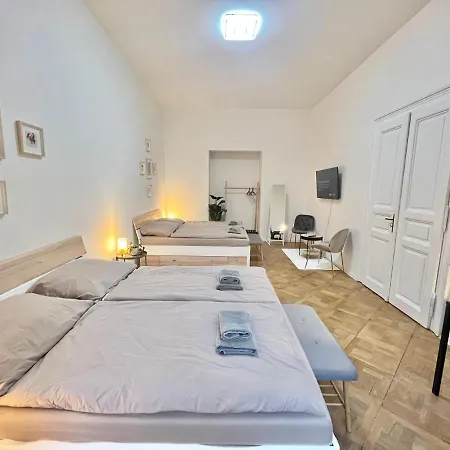 Spacious 2bdr With Free Parking In Wenceslas Square Apartament Praga